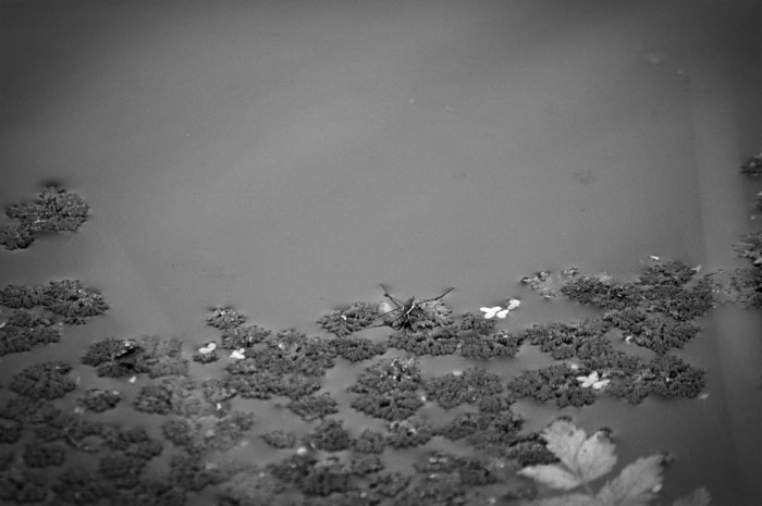 Stacks Image 67