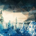 snowtrees.jpg