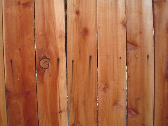 Wooden fence